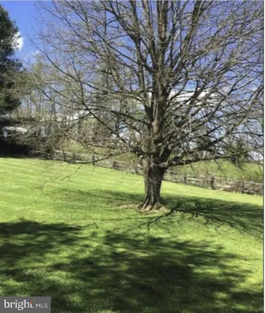 a view of a garden with a tree