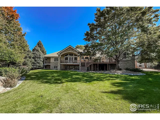 a view of a yard with plants
