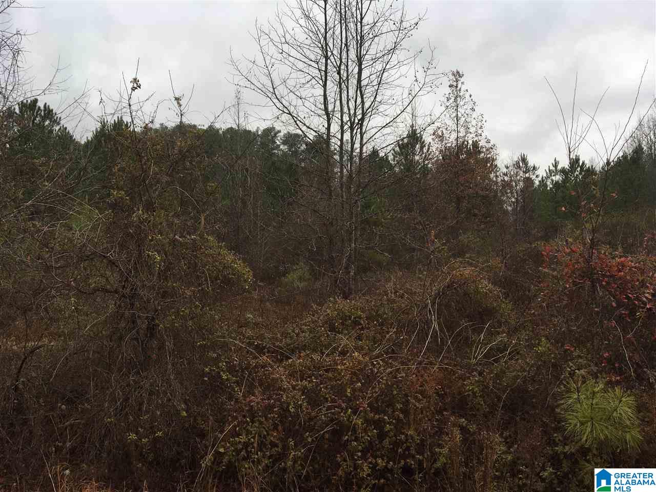 Old Choccolocco Road, Unit 97 Weaver, AL 36277 - Photo 18 of 27