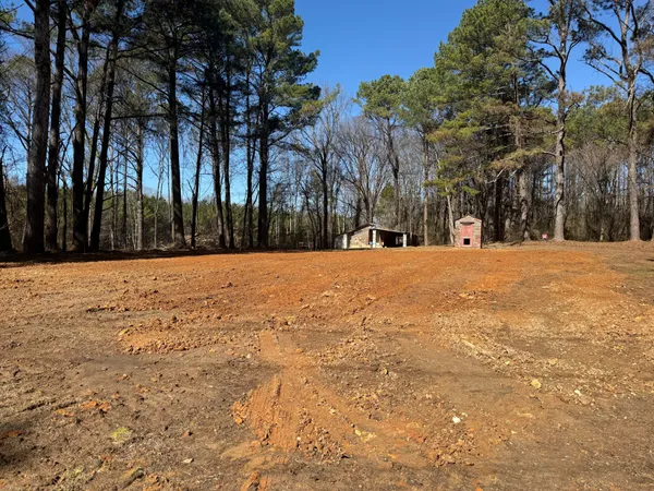 a street view with large trees