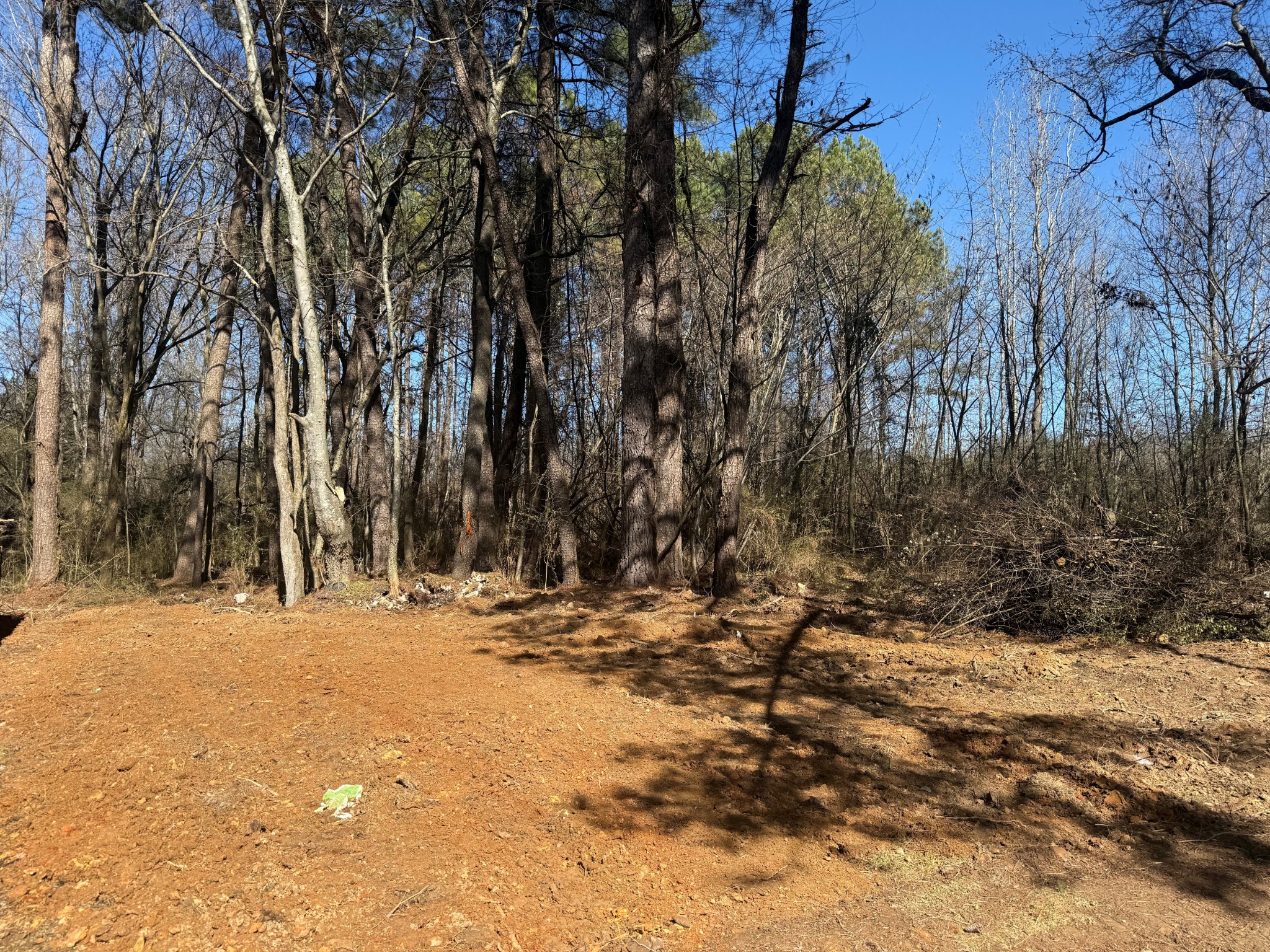 17315 Highway 251 Athens, AL 35613 - Photo 3 of 3 a view of a yard with trees