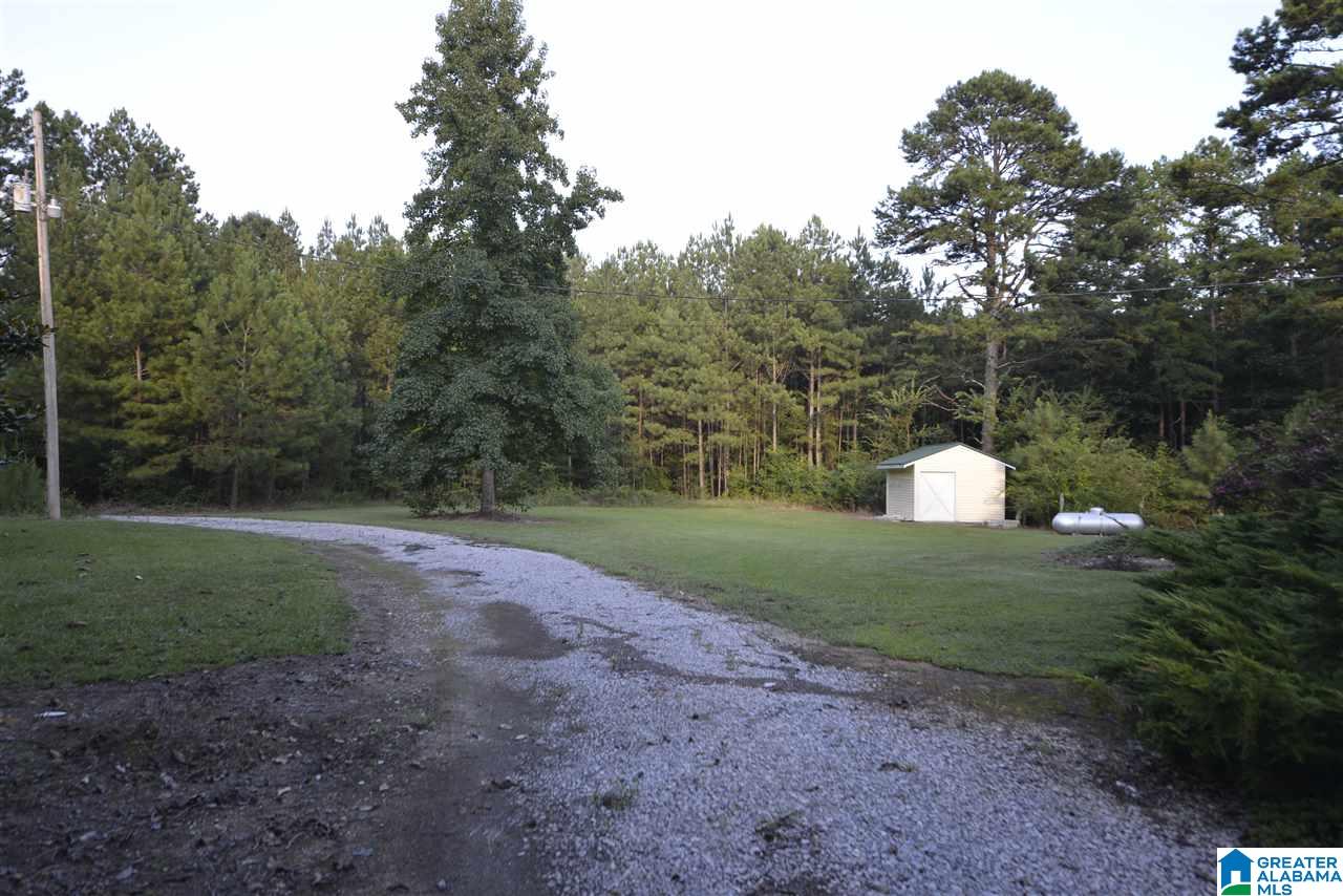 1980 Roy Webb Cutoff Road Piedmont, AL 36272 - Photo 40 of 47