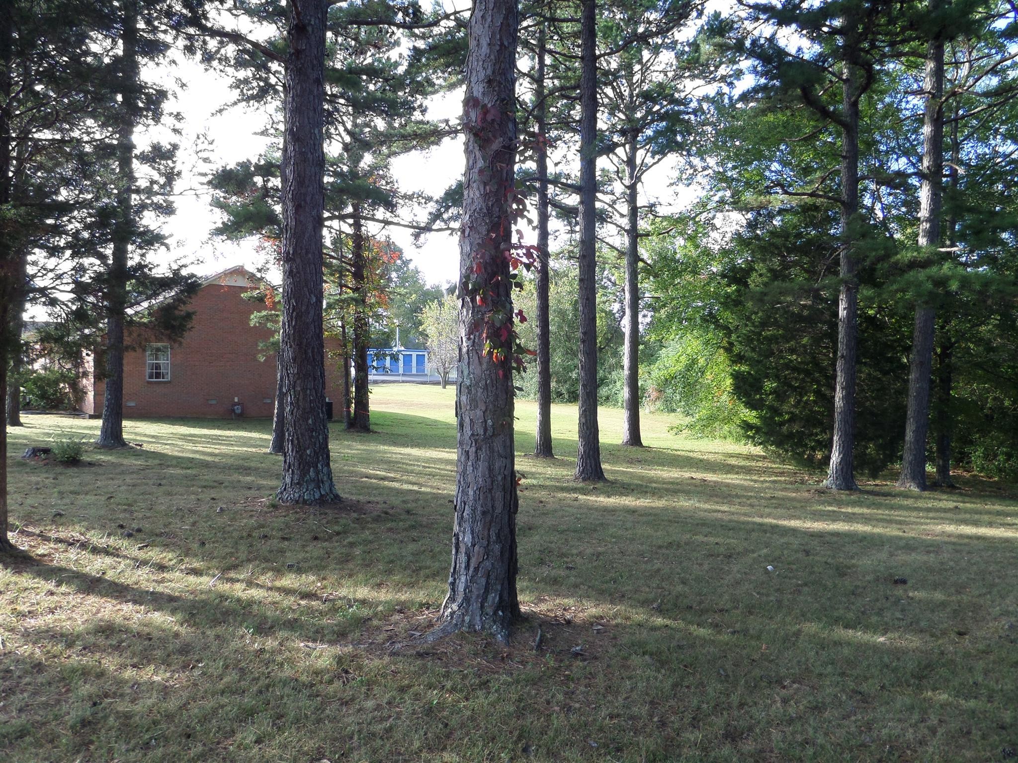 0 Joe Avenue Hohenwald, TN 38462 - Photo 2 of 6