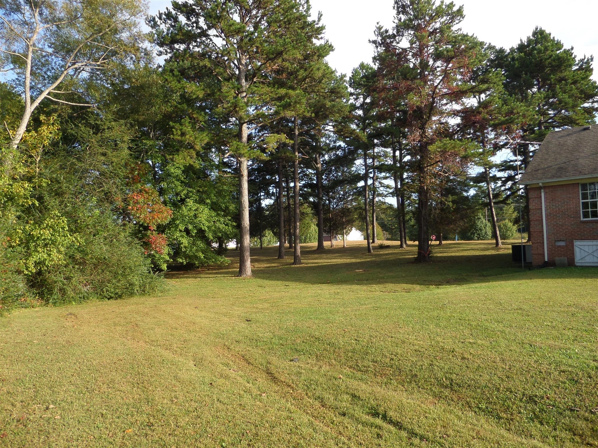 0 Joe Avenue Hohenwald, TN 38462 - Photo 4 of 6