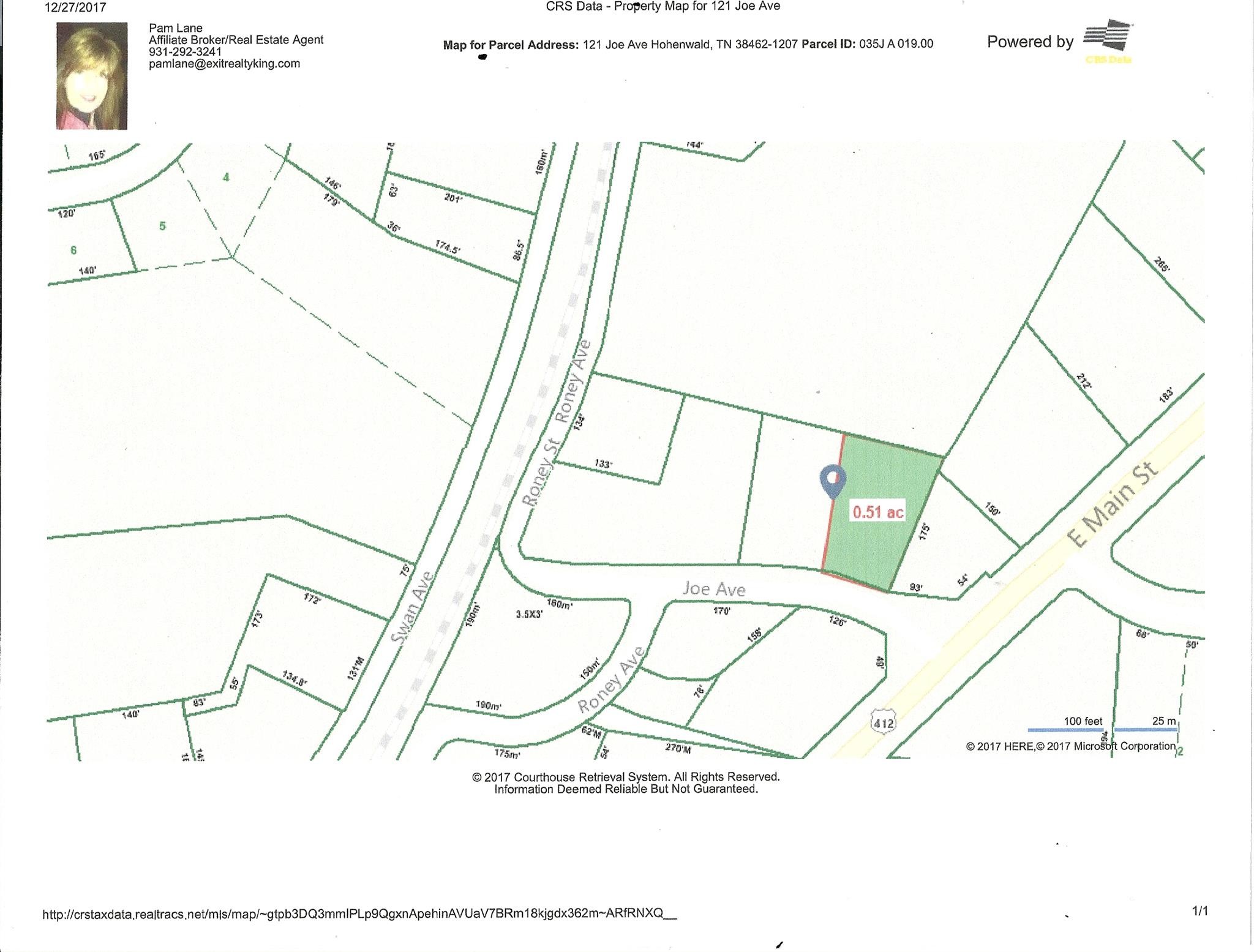 0 Joe Avenue Hohenwald, TN 38462 - Photo 5 of 6