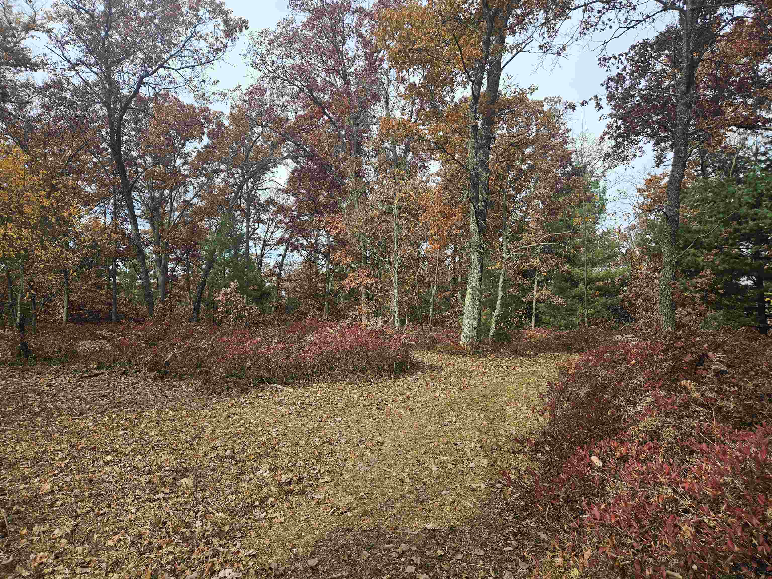 503 Elder Road Harrison, MI 48625 - Photo 54 of 71