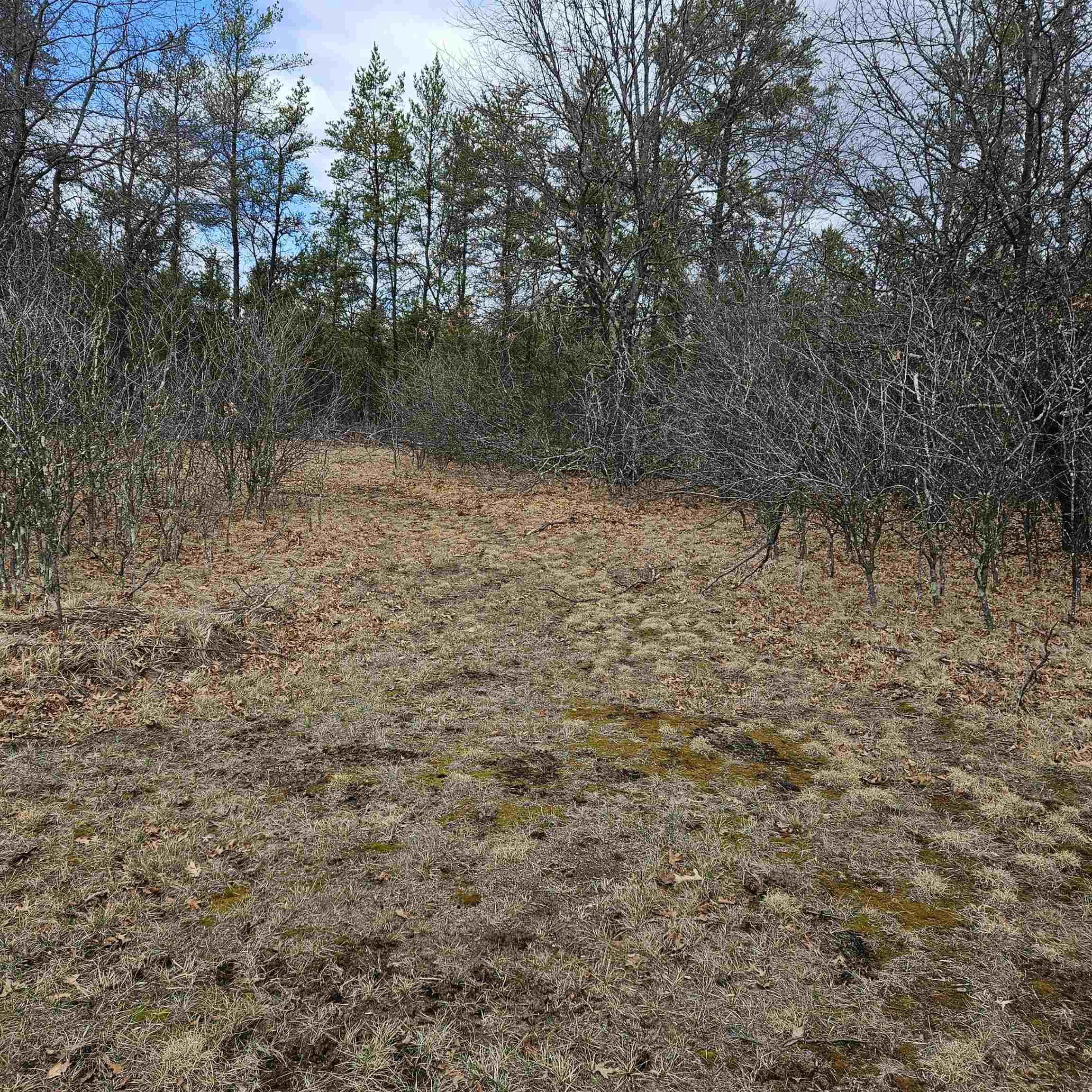 N9656 19th Avenue Necedah, WI 54646 - Photo 22 of 62