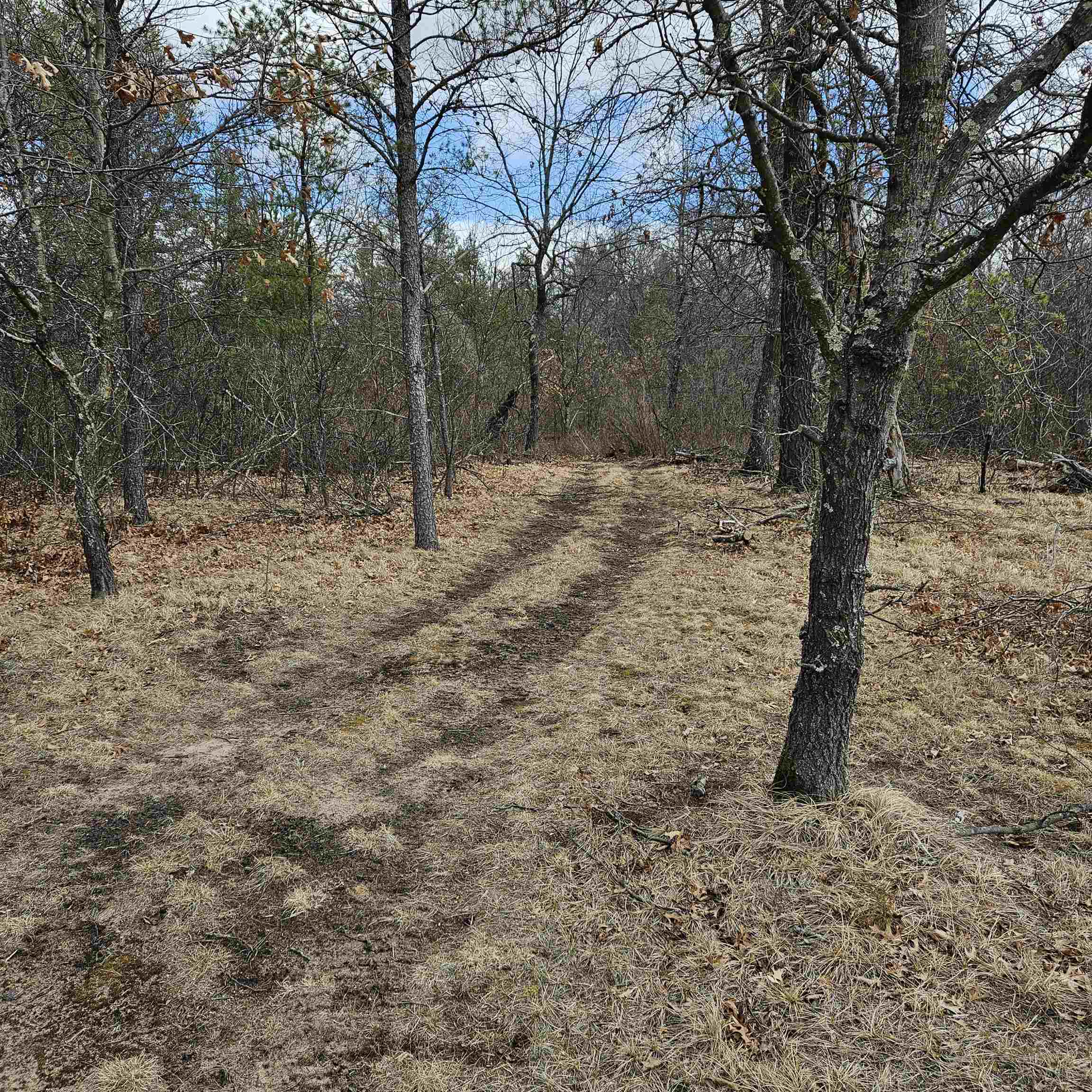 N9656 19th Avenue Necedah, WI 54646 - Photo 58 of 62