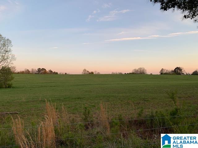 29 Highway Oneonta Al, Unit 70 Oneonta, AL 35121 - Photo 3 of 10