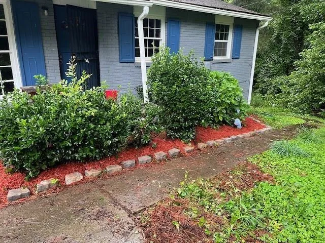 a view of a backyard with potted plants