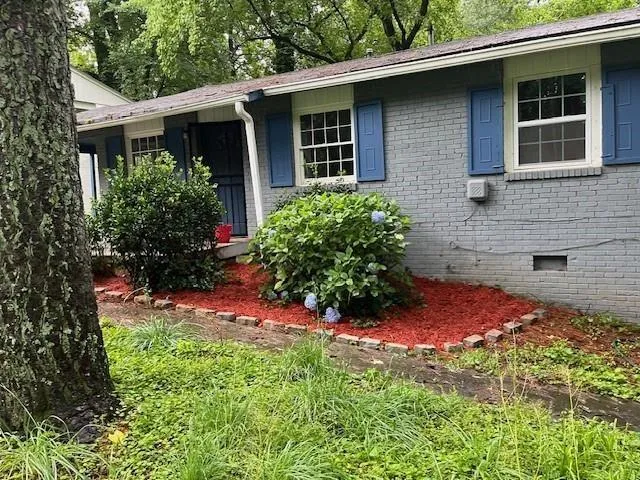 a view of a backyard with plants and large tree
