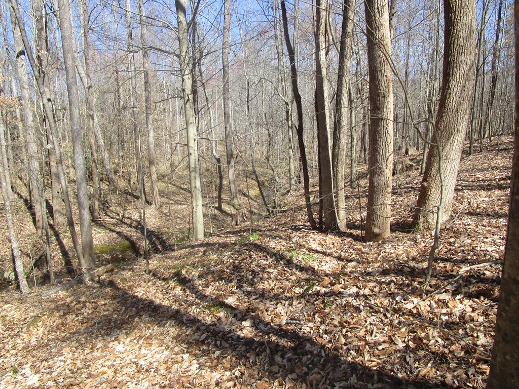 643 New Grove Road Kenbridge, VA 23944 - Photo 1 of 12 Gallery Image 1