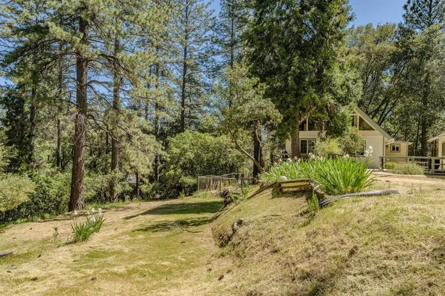 a view of backyard with swimming pool