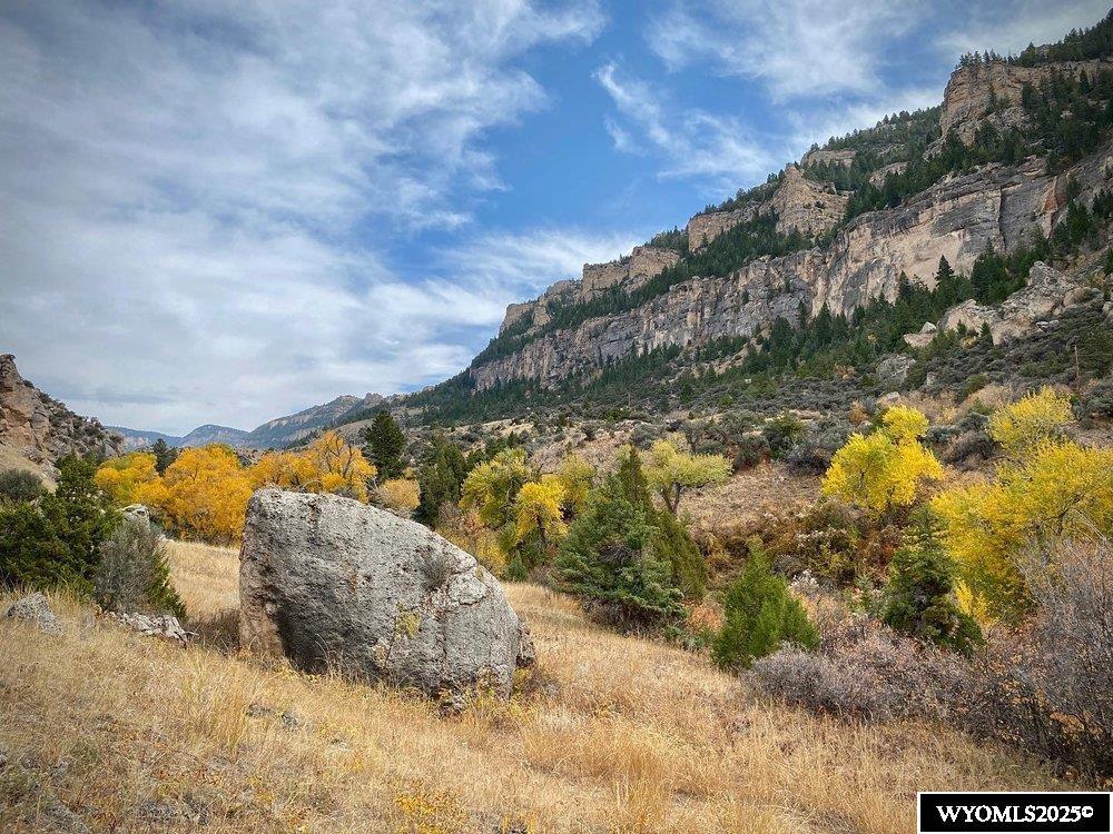 77 Sand Crk Rnch Road Buffalo, WY 82834 - Photo 15 of 27