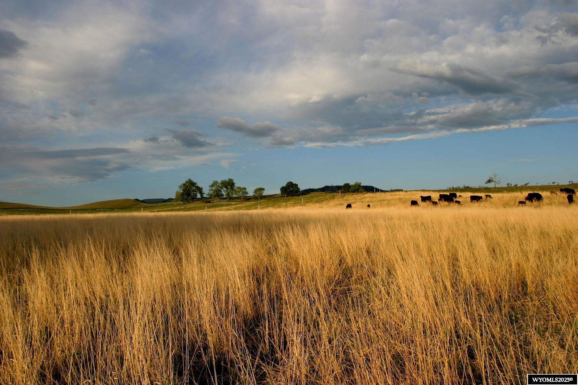 77 Sand Crk Rnch Road Buffalo, WY 82834 - Photo 17 of 27