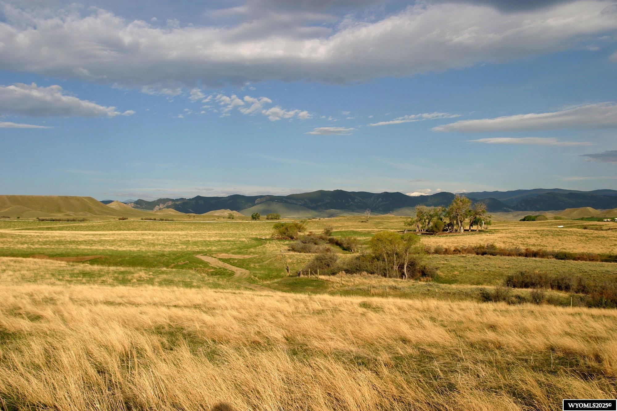 77 Sand Crk Rnch Road Buffalo, WY 82834 - Photo 18 of 27