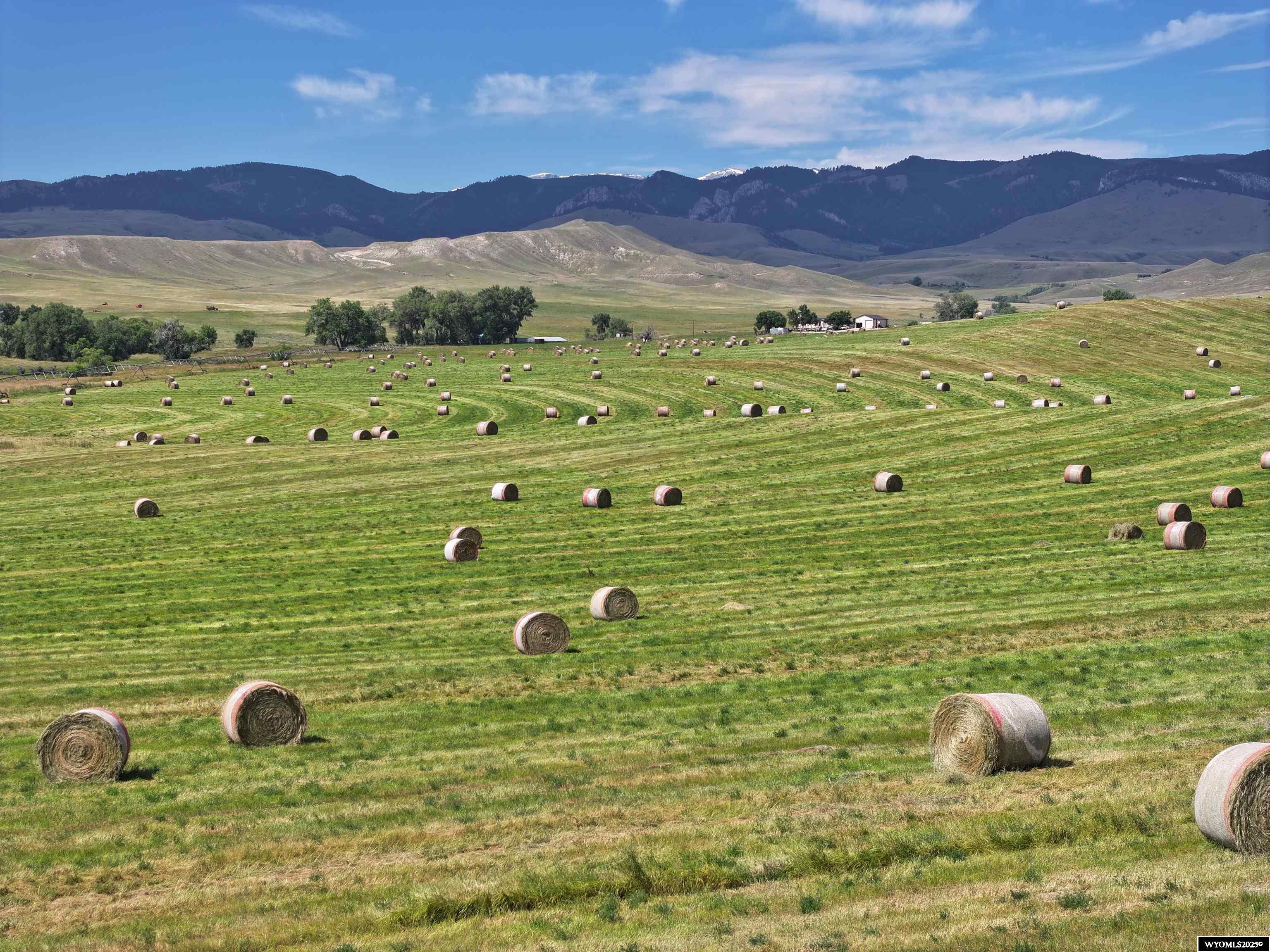 77 Sand Crk Rnch Road Buffalo, WY 82834 - Photo 2 of 27