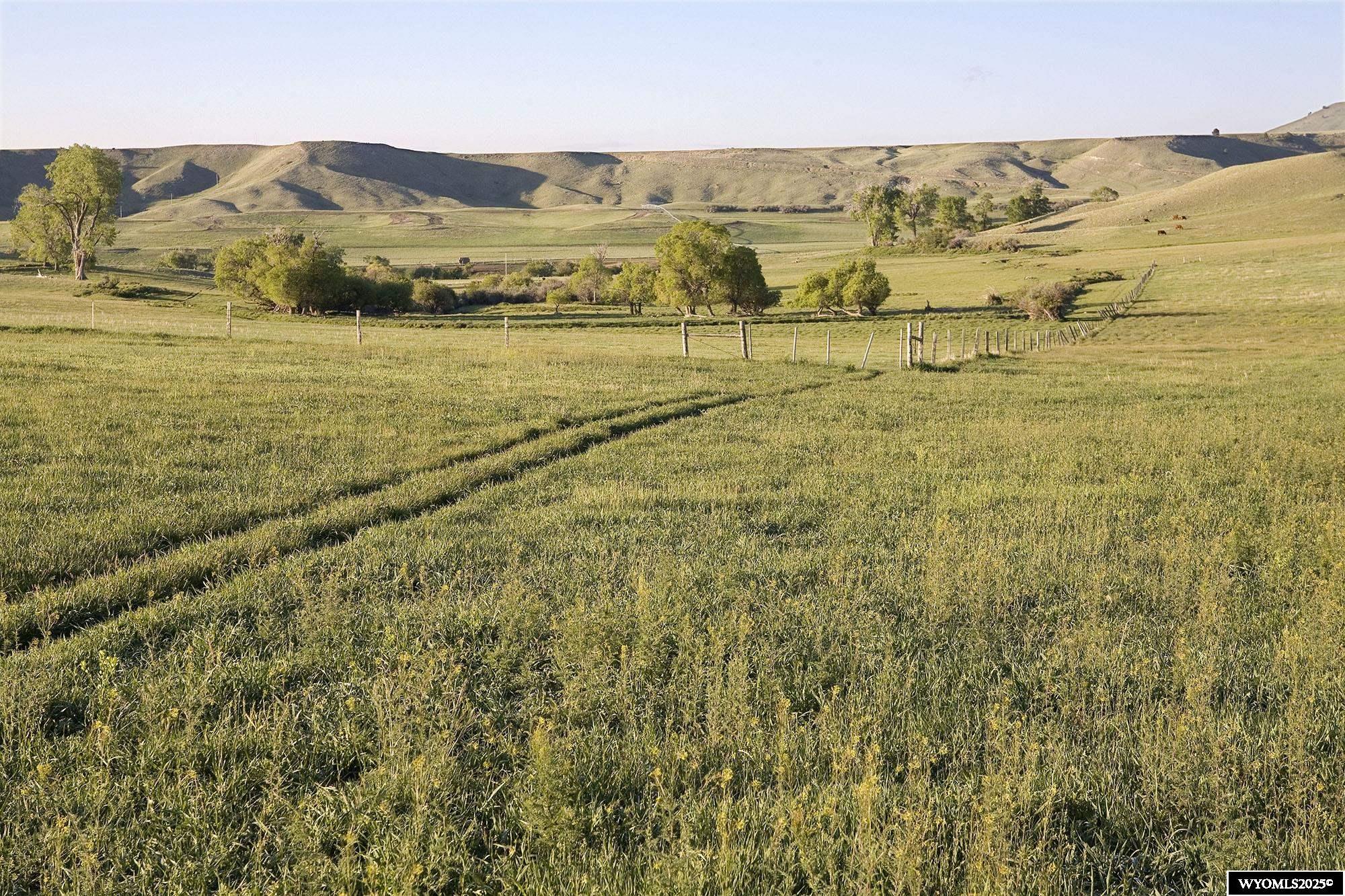 77 Sand Crk Rnch Road Buffalo, WY 82834 - Photo 21 of 27