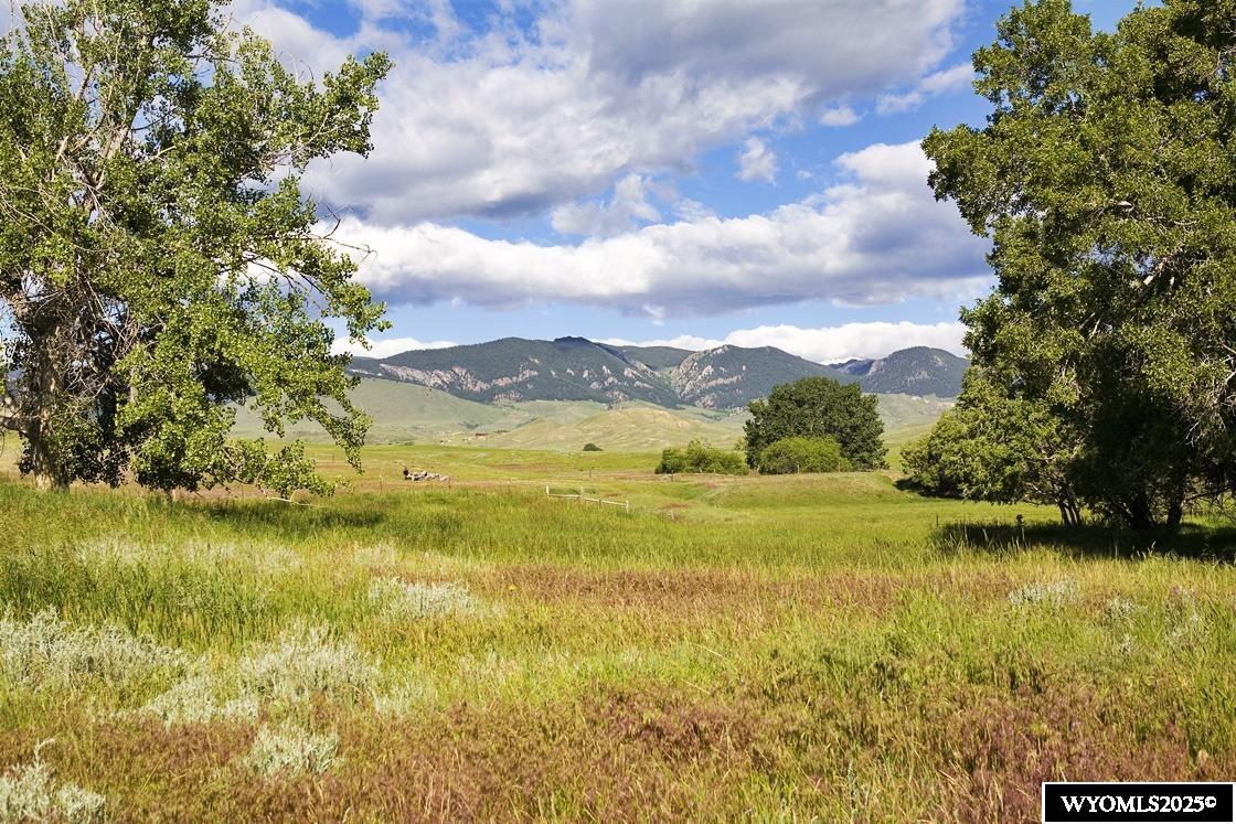 77 Sand Crk Rnch Road Buffalo, WY 82834 - Photo 23 of 27