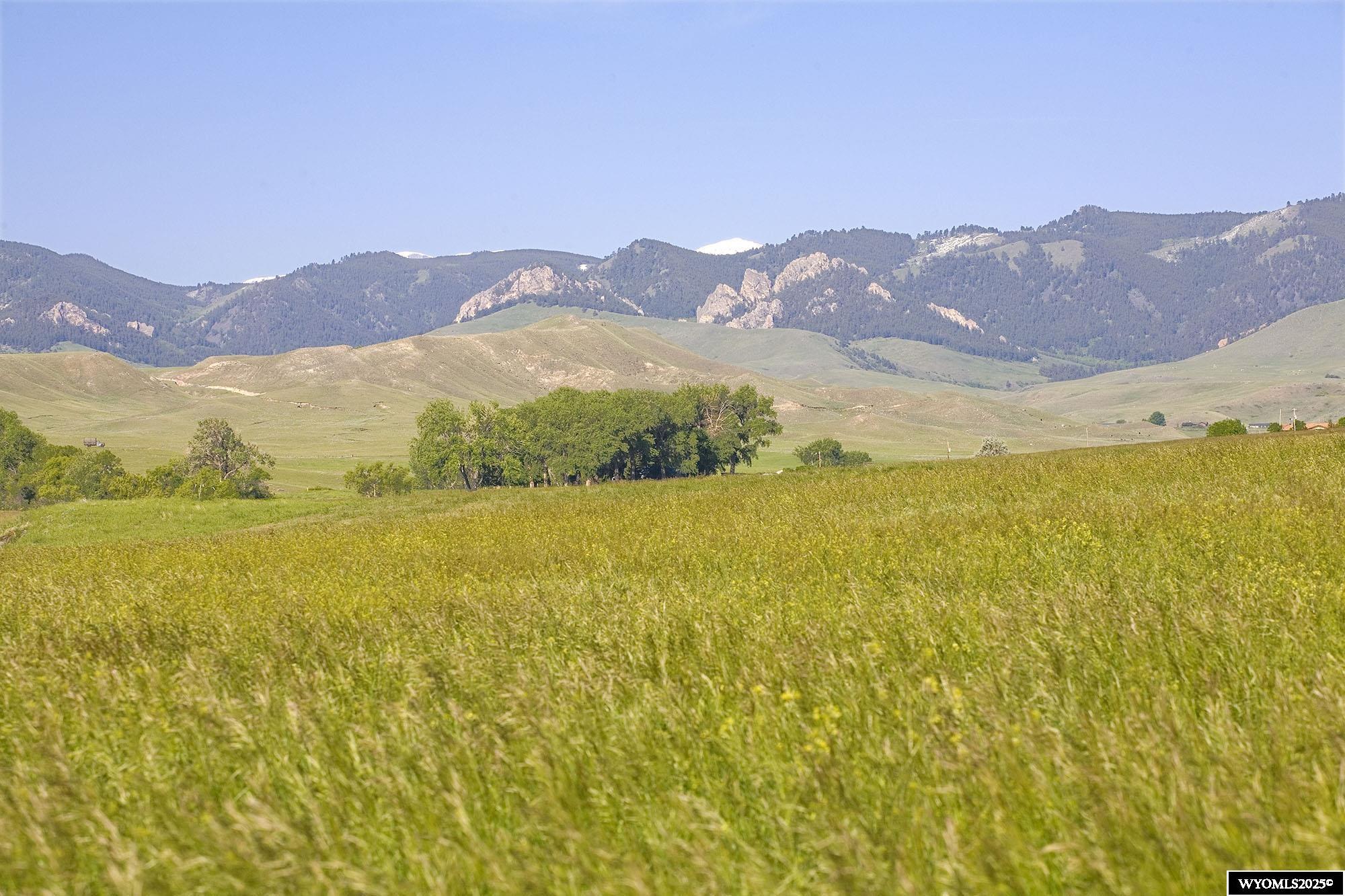 77 Sand Crk Rnch Road Buffalo, WY 82834 - Photo 25 of 27