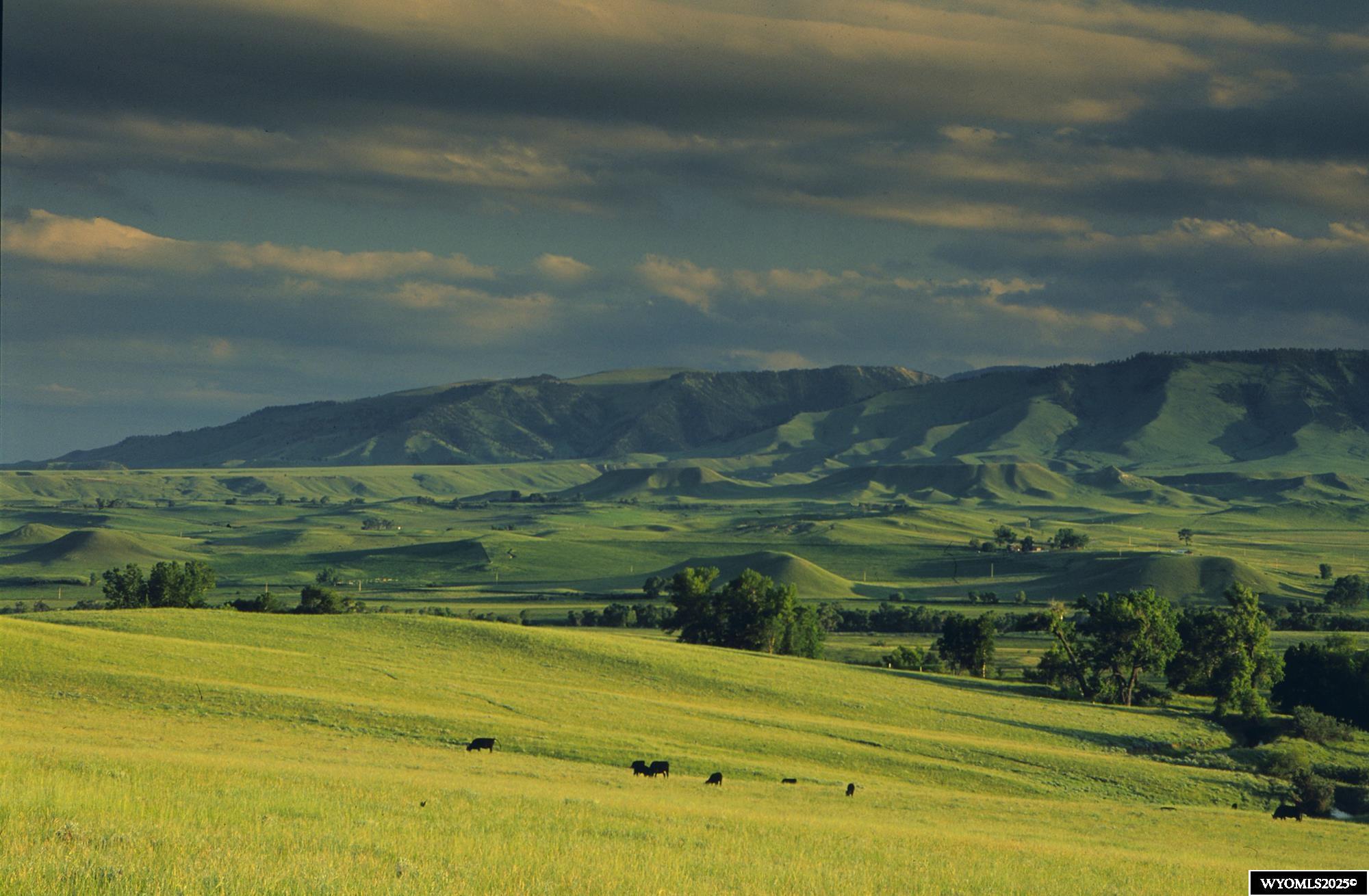 77 Sand Crk Rnch Road Buffalo, WY 82834 - Photo 27 of 27