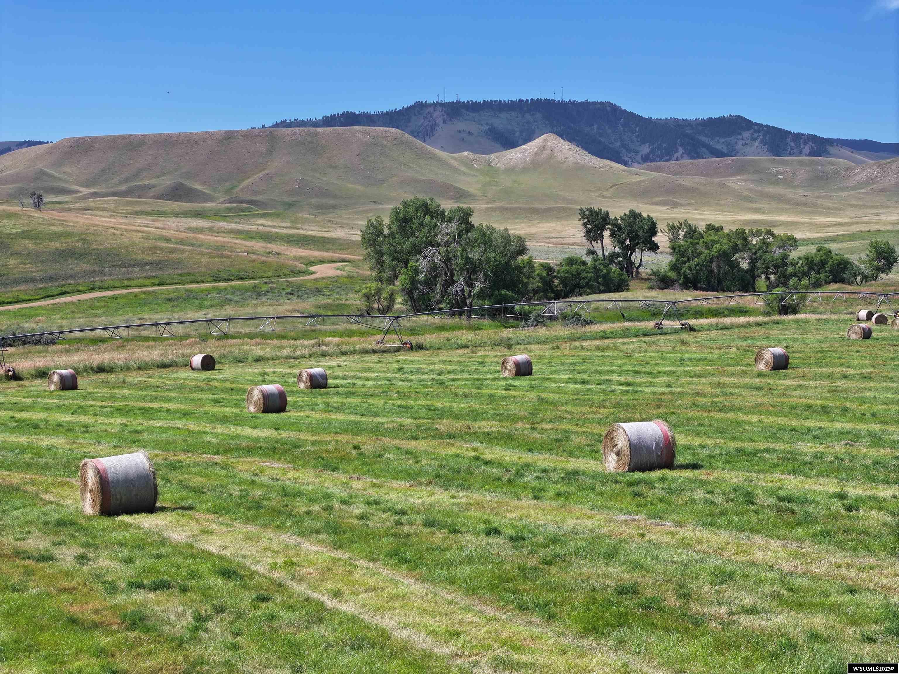 77 Sand Crk Rnch Road Buffalo, WY 82834 - Photo 3 of 27