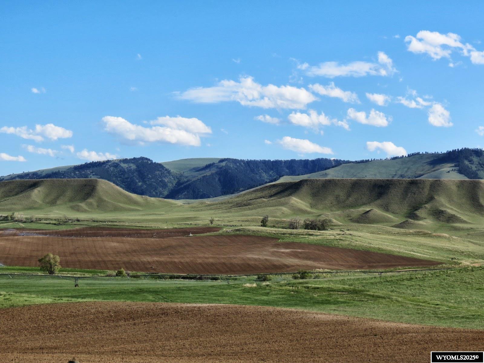 77 Sand Crk Rnch Road Buffalo, WY 82834 - Photo 4 of 27