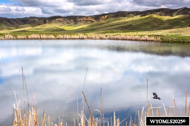 77 Sand Crk Rnch Road Buffalo, WY 82834 - Photo 7 of 27