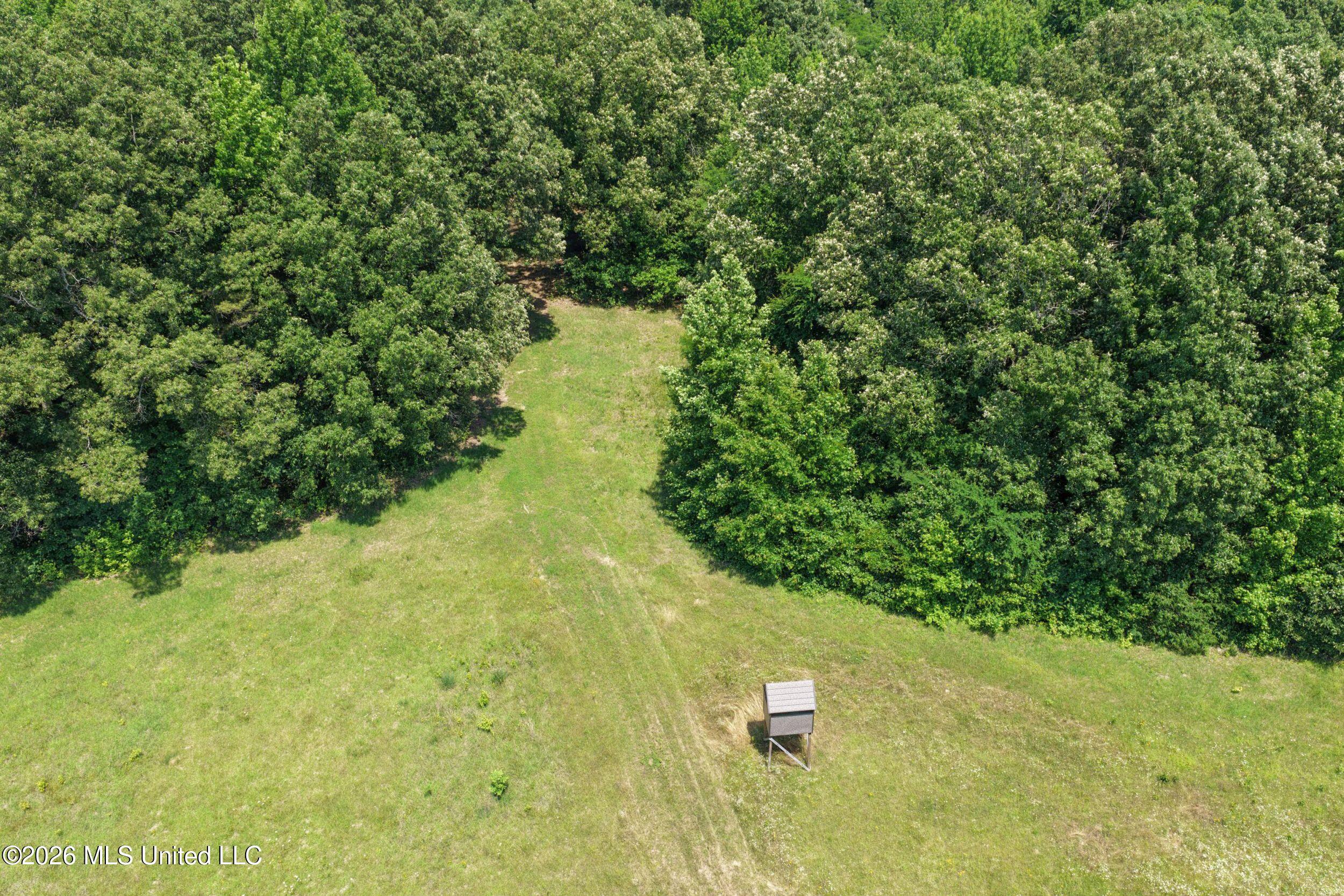 884 Avant Road Crenshaw, MS 38621 - Photo 44 of 154 4dbyicr43