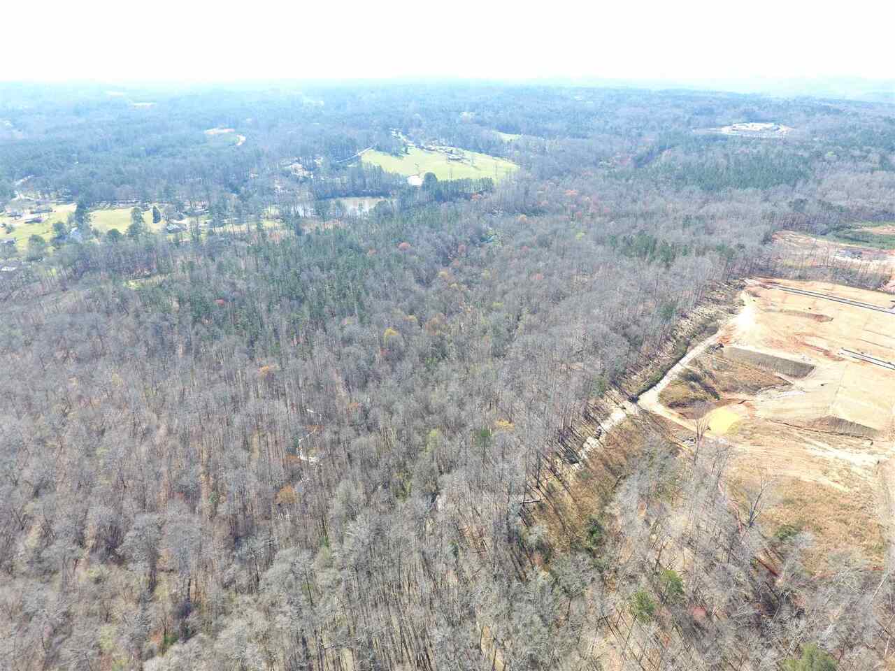 0 Hathcock Road Atlanta, GA 30349 - Photo 4 of 6