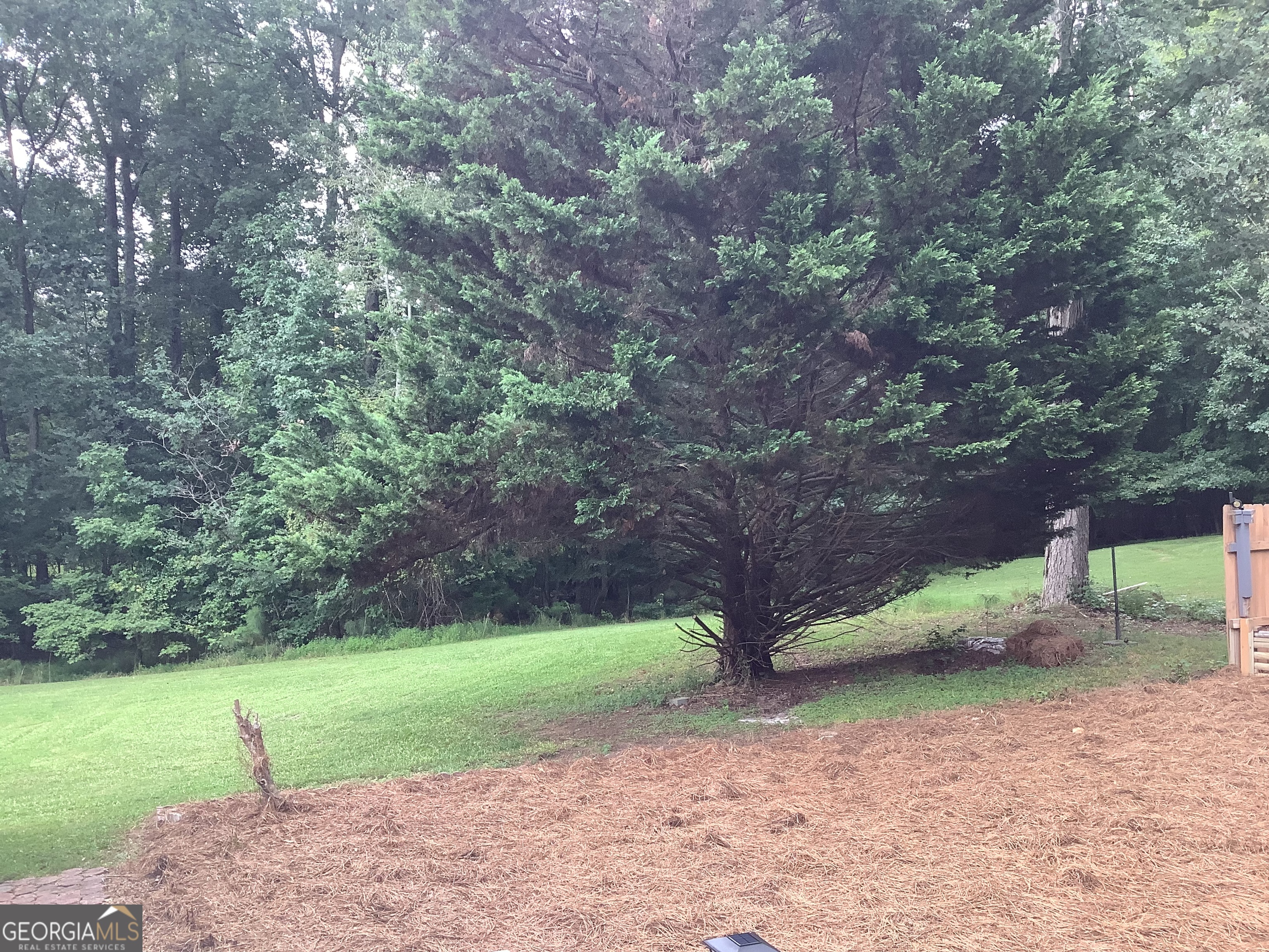 334 Armuchee Trail Northeast Rome, GA 30165 - Photo 52 of 53 a view of a yard with a tree
