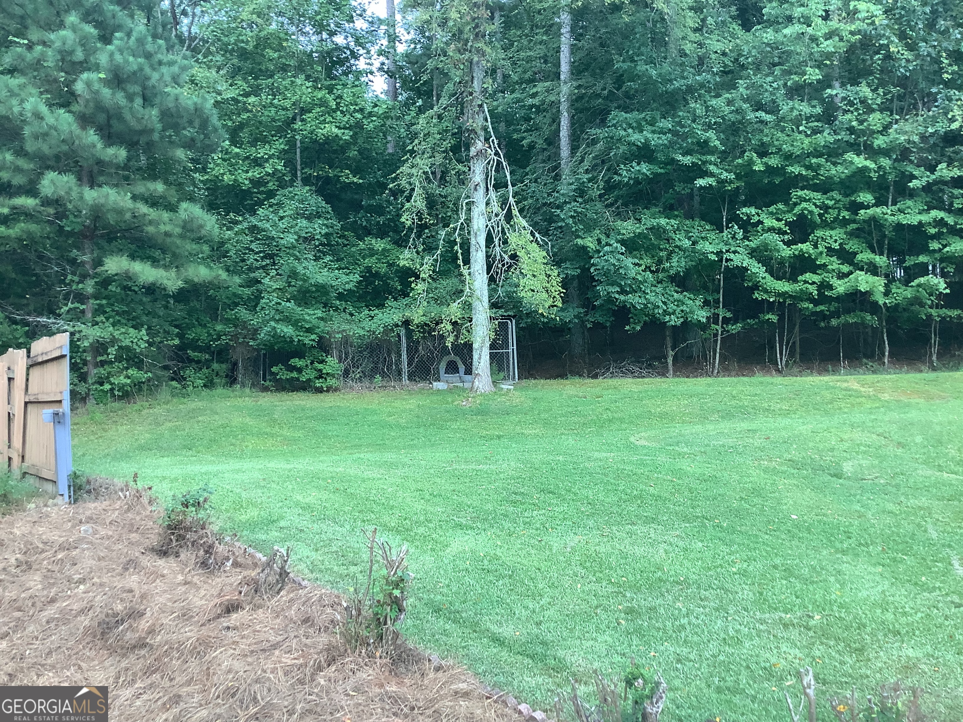 334 Armuchee Trail Northeast Rome, GA 30165 - Photo 53 of 53 a backyard of a house with plants and large trees
