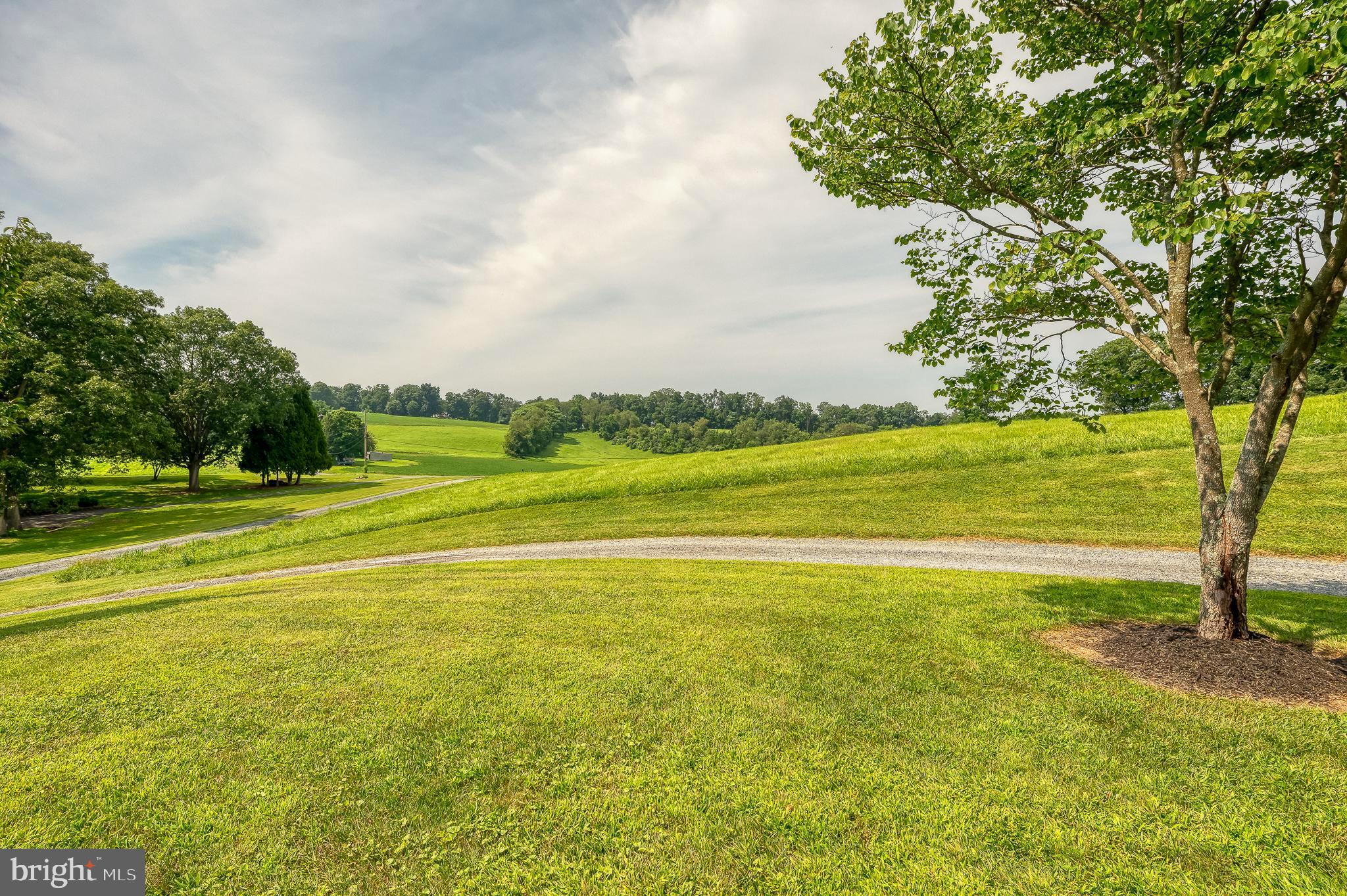 1615 Jerrys Road Street, MD 21154 - Photo 4 of 40 View from Porch