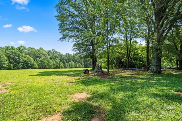 a view of a grassy field with trees in the background