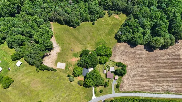 a view of a garden with plants