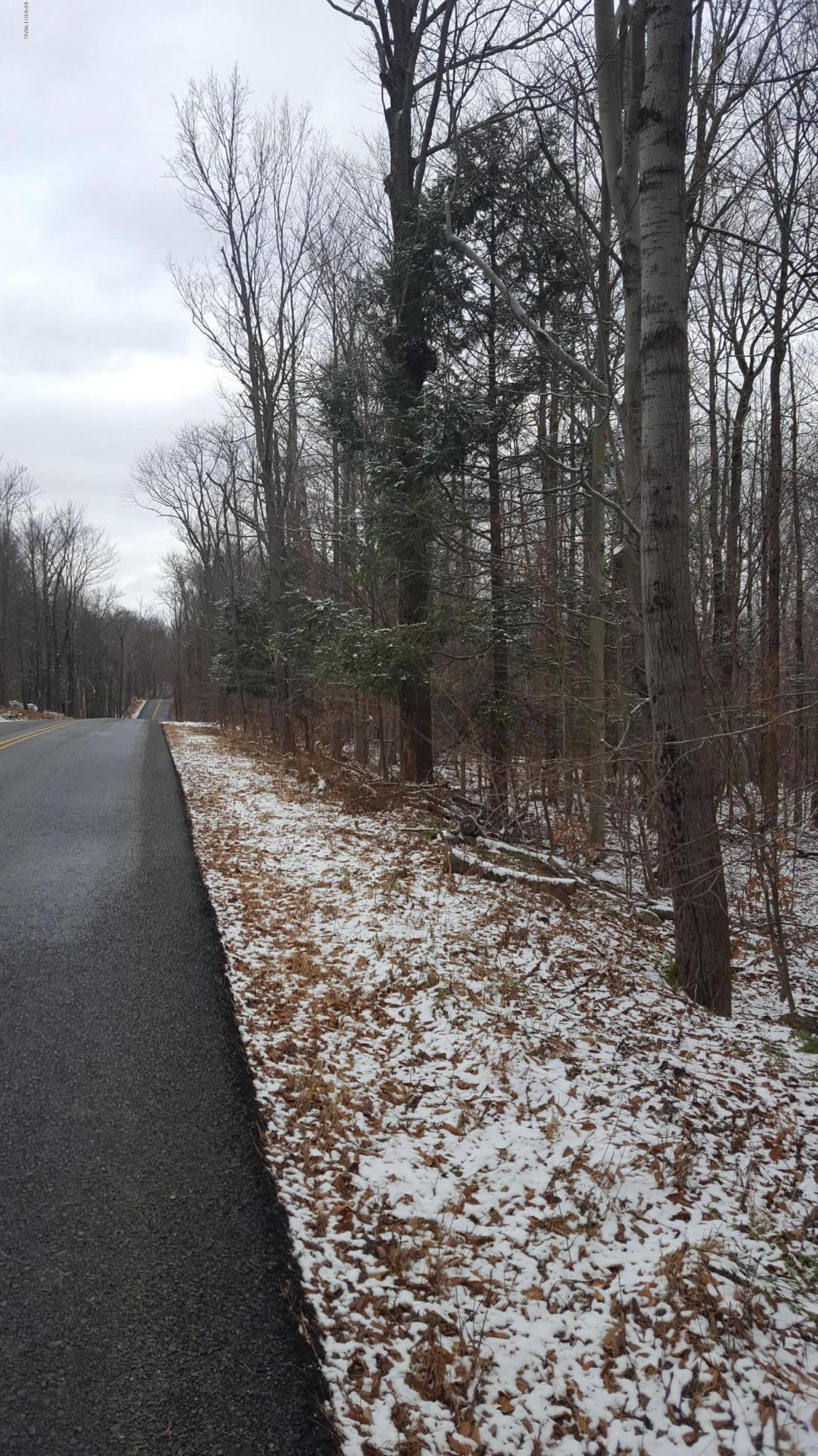 Kellows Road Honesdale, PA 18431 - Photo 2 of 5