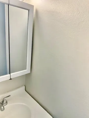 a bathroom with a sink and a toilet