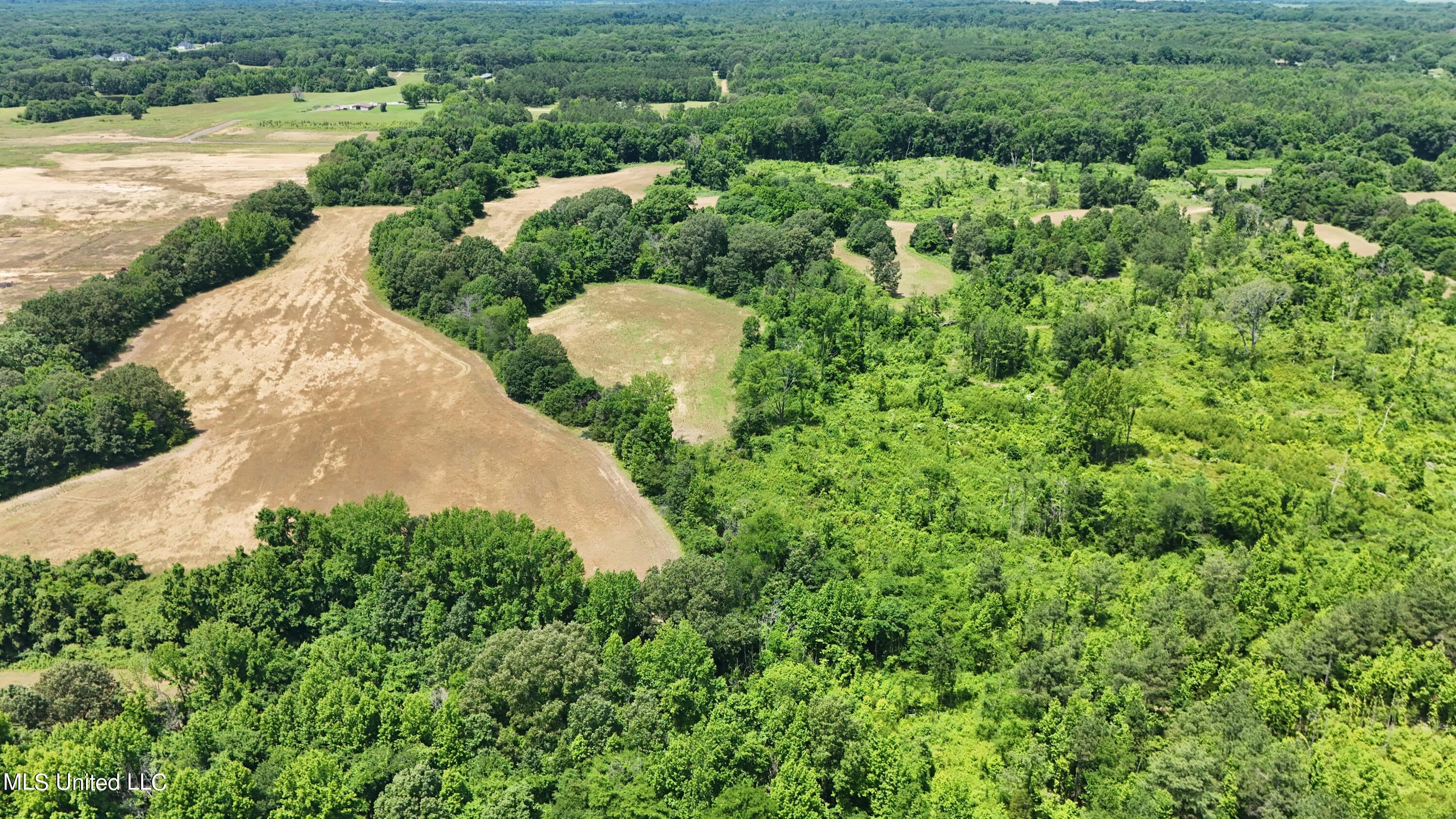 69 Newell Road Lake Cormorant, MS 38641 - Photo 4 of 28 dji_fly_20240529_121430_0017_17170031250