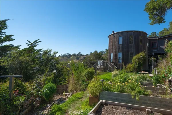 a view of a garden
