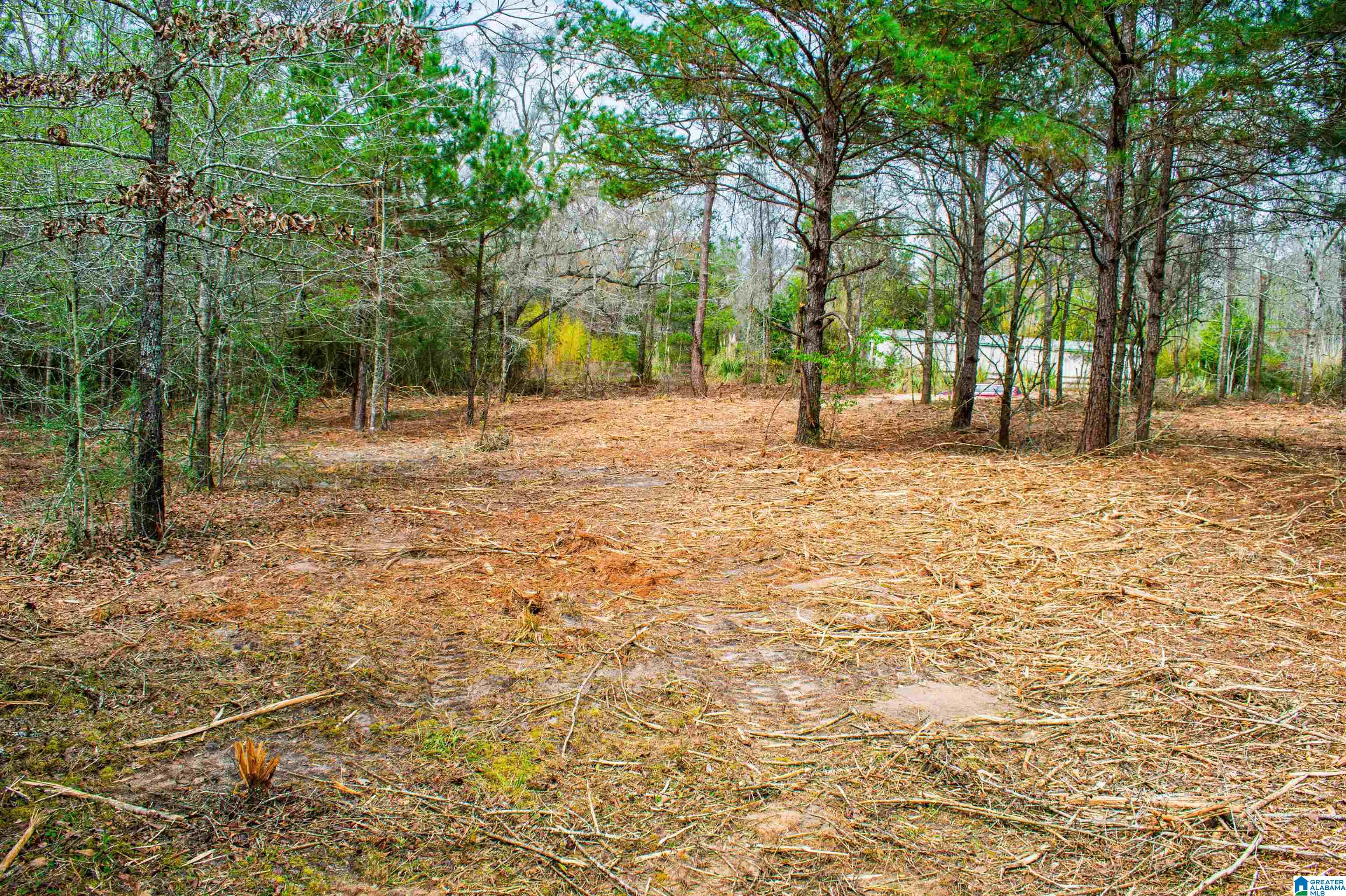 27180 Deer Run Road Opp, AL 36467 - Photo 55 of 60