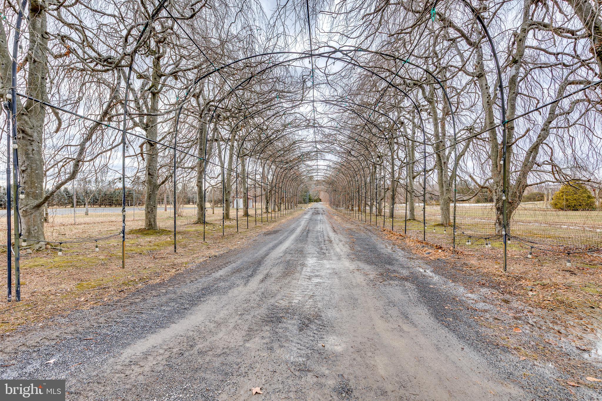 139 Bordentown Georgetown Road Chesterfield, NJ 08515 - Photo 3 of 89 a view of road and trees