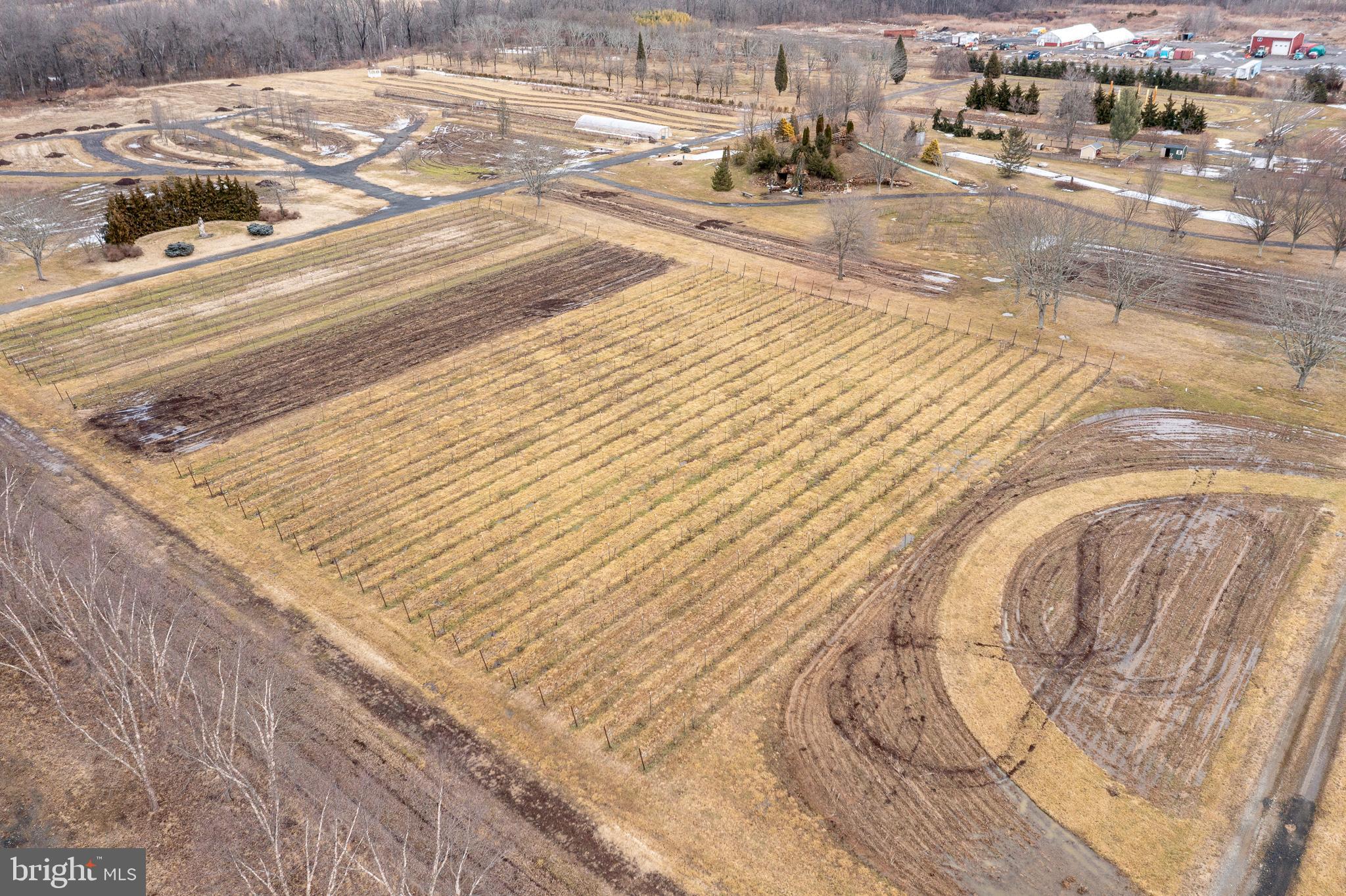 139 Bordentown Georgetown Road Chesterfield, NJ 08515 - Photo 82 of 89 a view of swimming pool