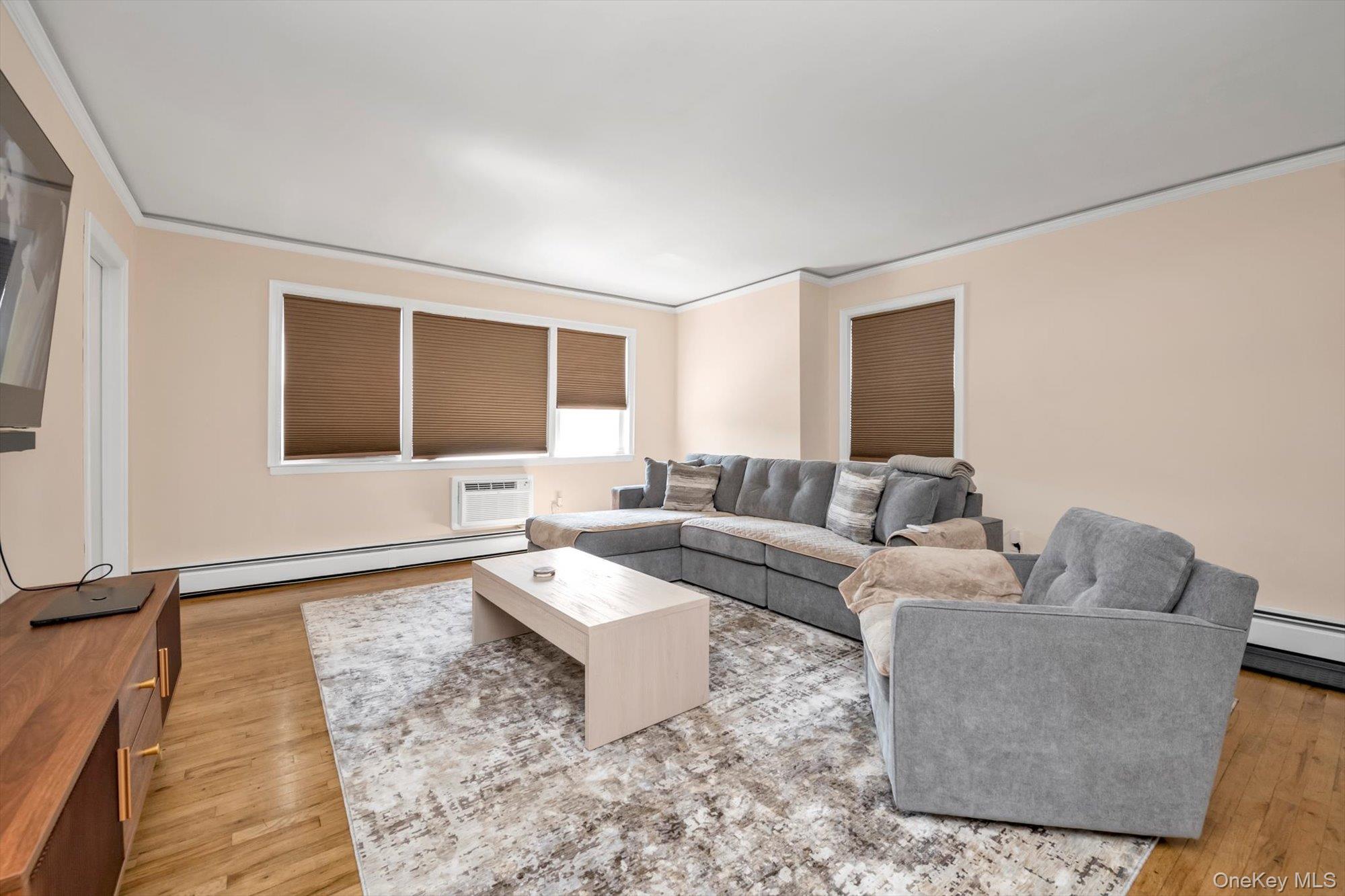 61-26 164th Street Queens, NY 11365 - Photo 6 of 17 a living room with furniture and a rug