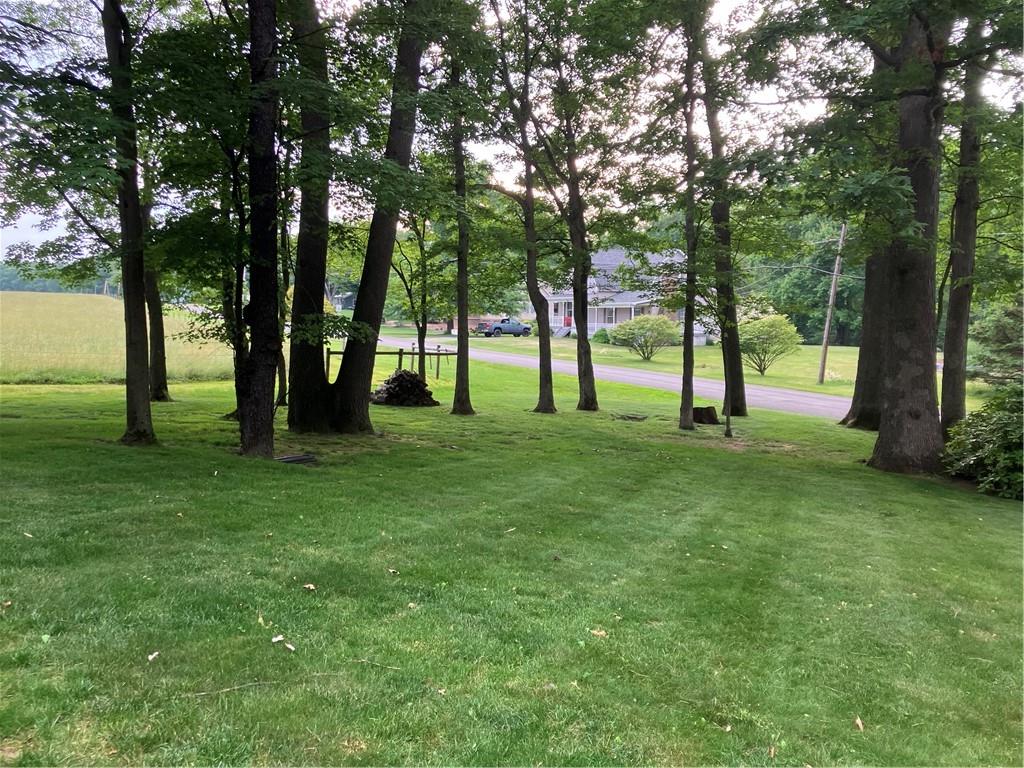 125 Beacon Road Renfrew, PA 16053 - Photo 30 of 31 a view of yard with green space and garden