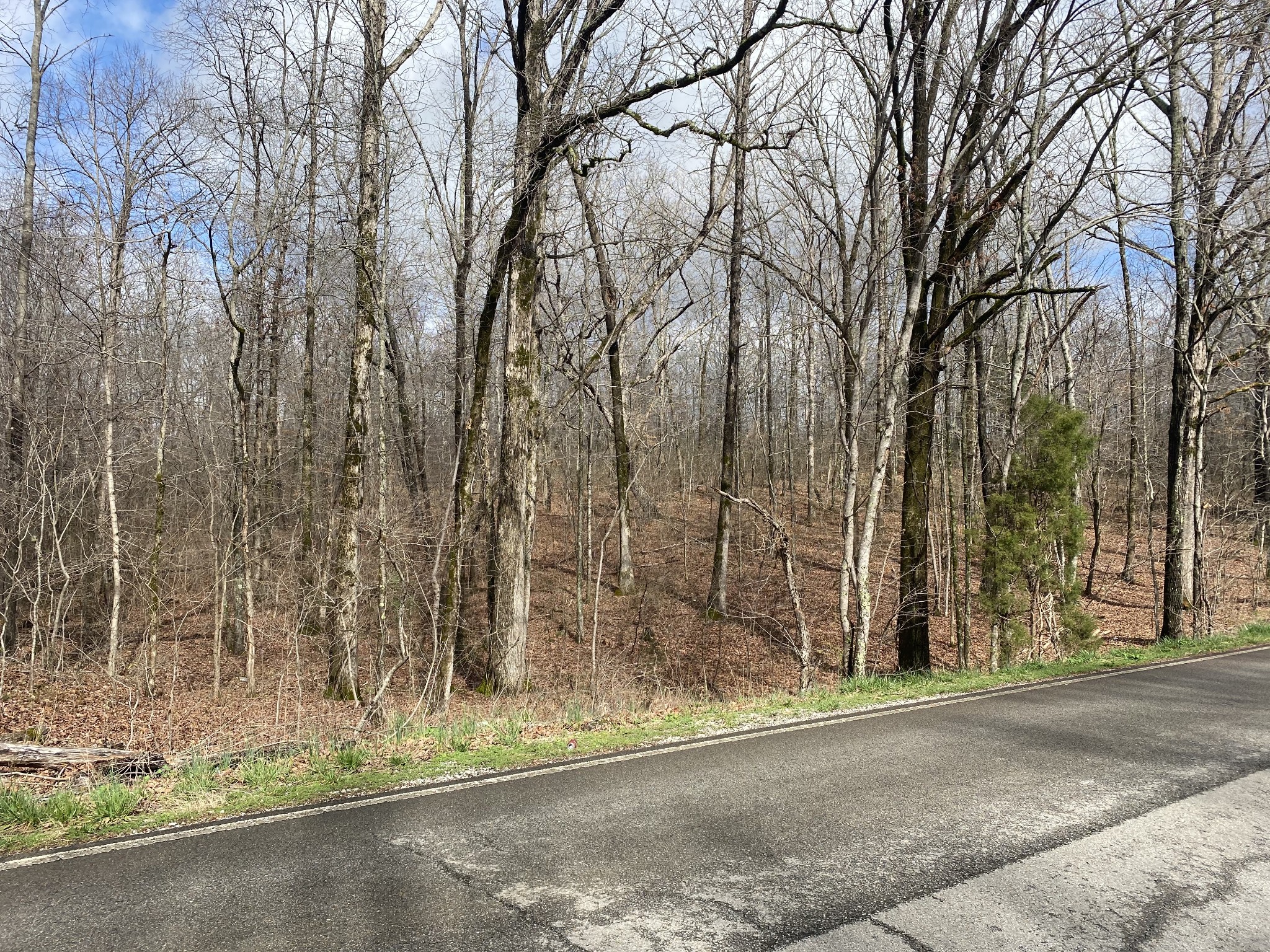 0 Railroad Bed Road Westpoint, TN 38486 - Photo 2 of 13 a view of a backyard of the house