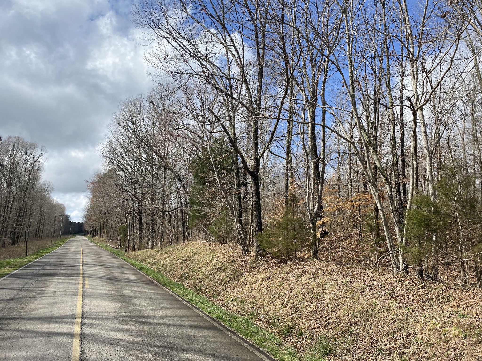 0 Railroad Bed Road Westpoint, TN 38486 - Photo 11 of 13 a view of a yard with trees