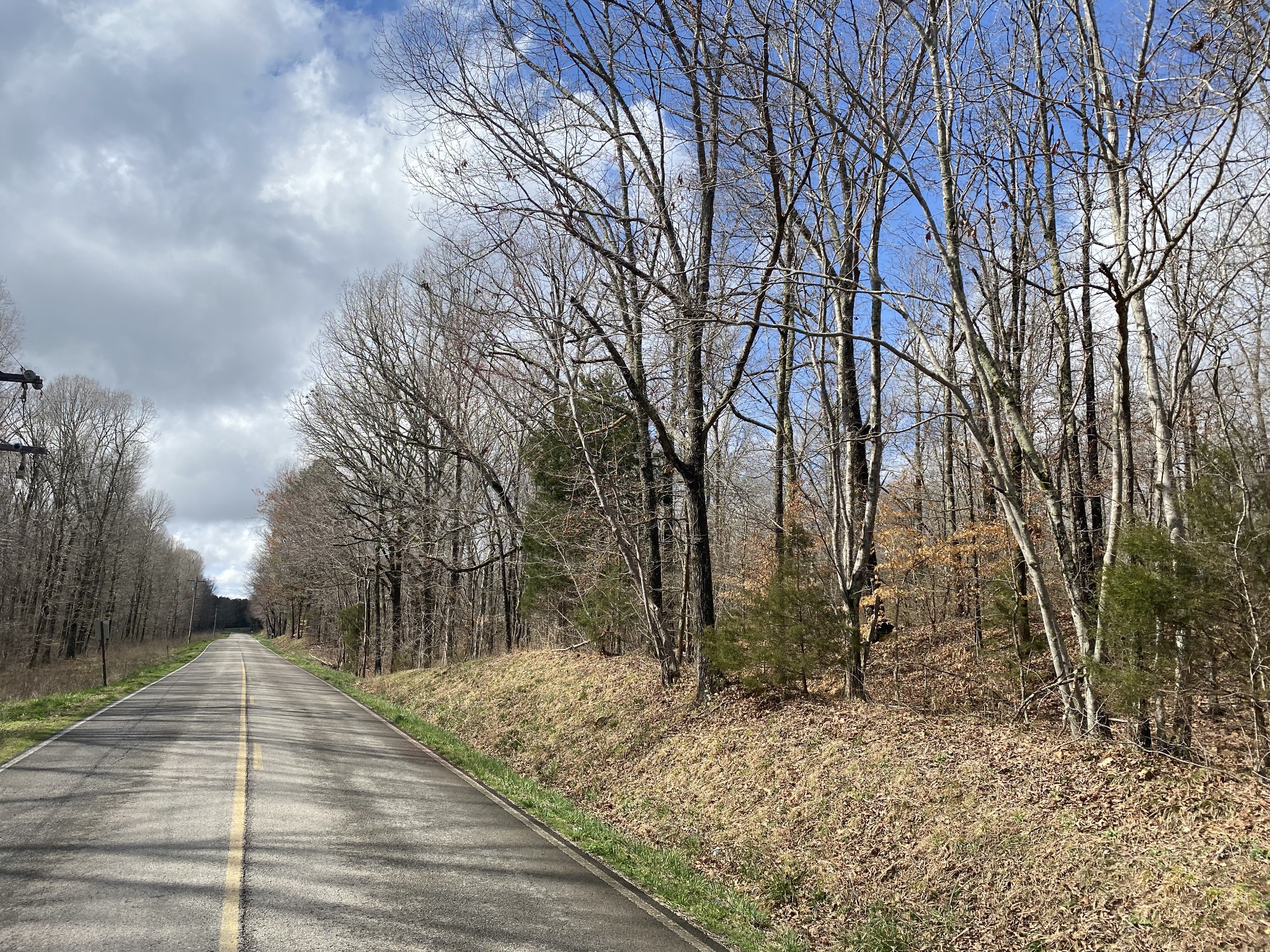 0 Railroad Bed Road Westpoint, TN 38486 - Photo 12 of 13 a view of a yard with trees
