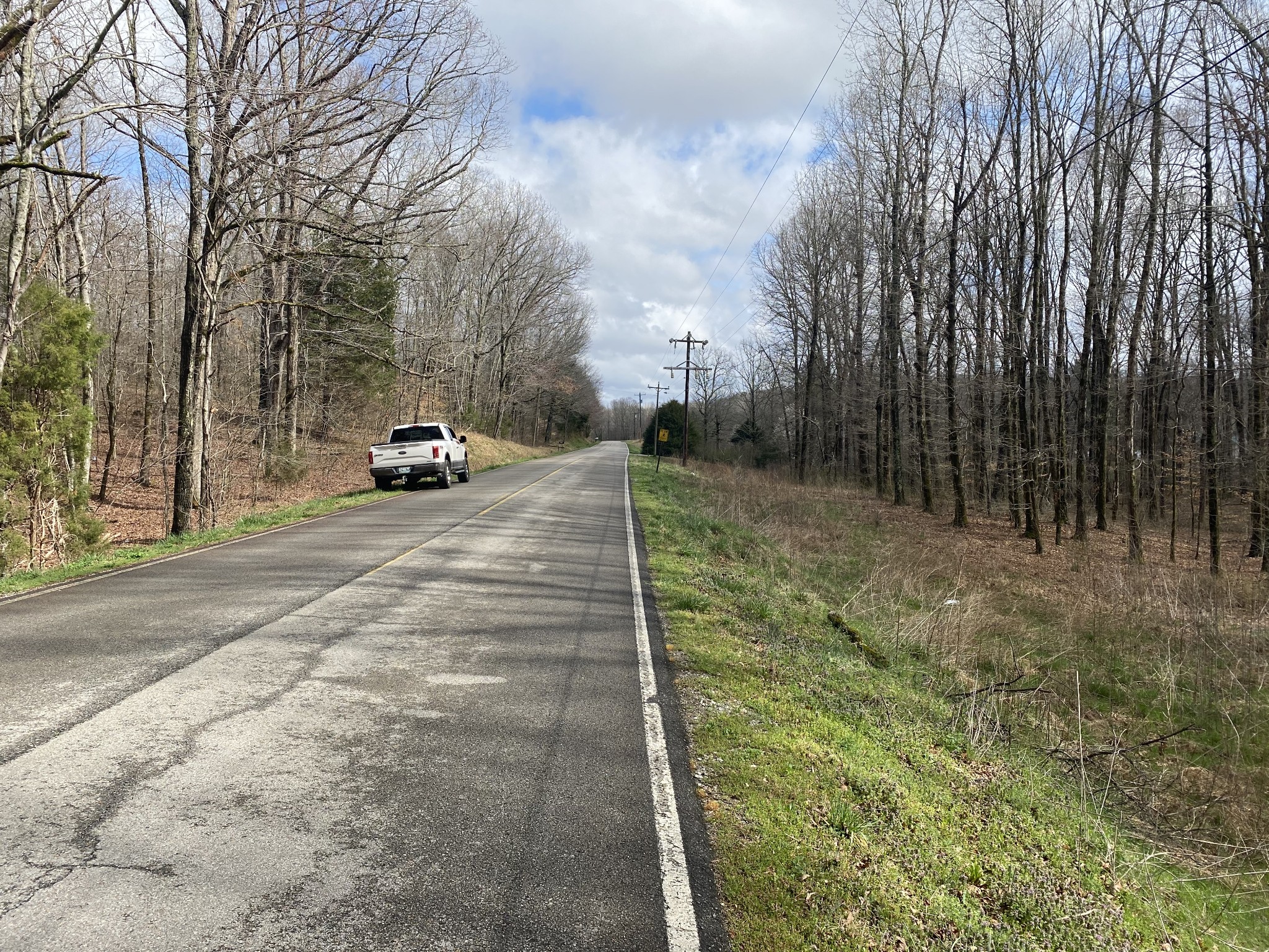 0 Railroad Bed Road Westpoint, TN 38486 - Photo 4 of 13 a view of yard with trees