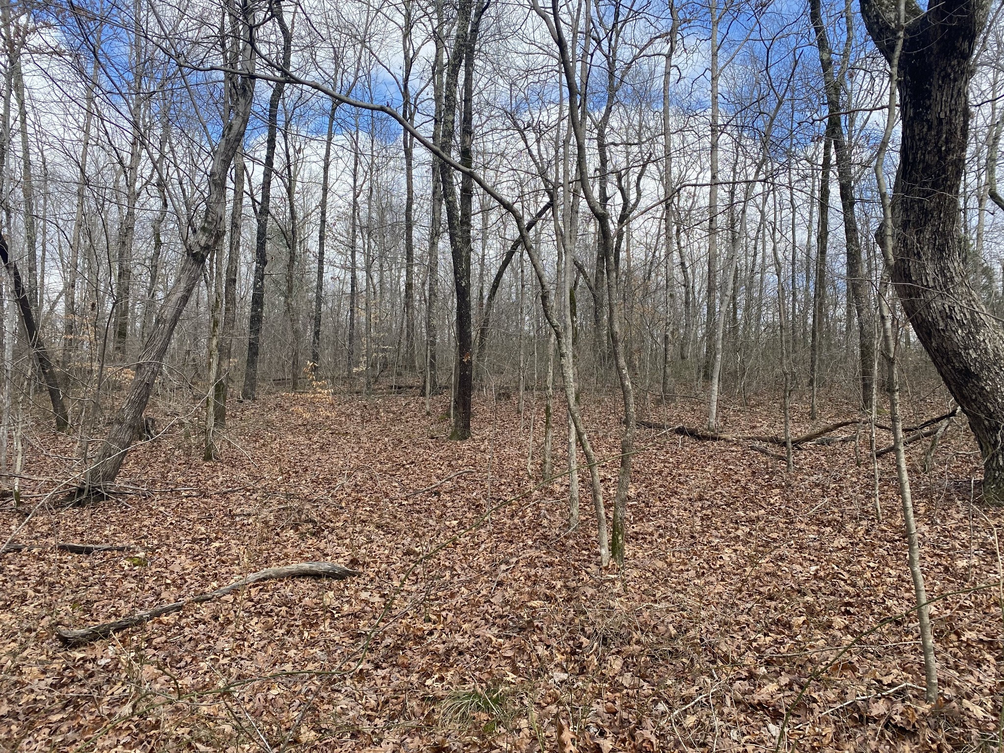 0 Railroad Bed Road Westpoint, TN 38486 - Photo 6 of 13 a backyard of a house with lots of green space