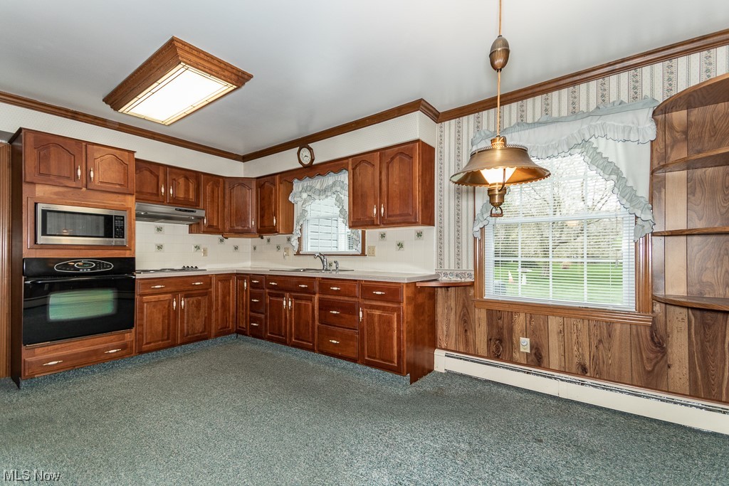 6788 Middle Ridge Road Madison, OH 44057 - Photo 15 of 35